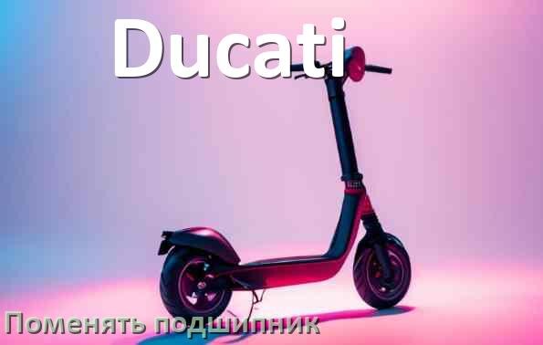 
Как на электросамокате Ducati поменять подшипник колеса переднего и заднего