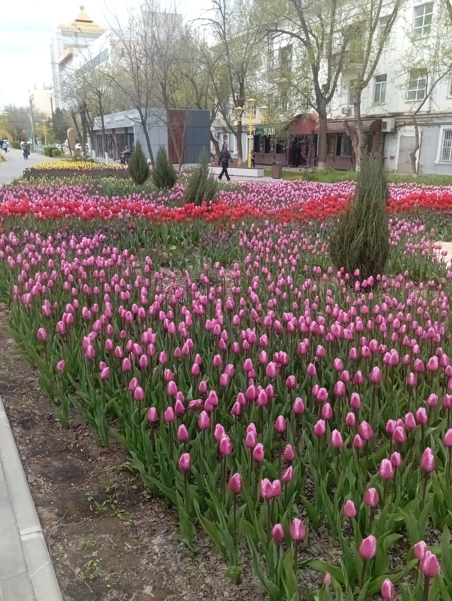 Фото автора.