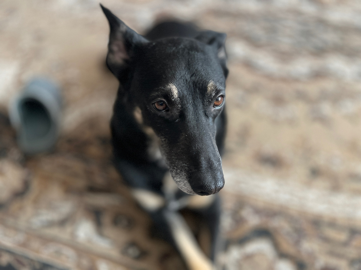 Ну и... Надо бы подумать 🤔...