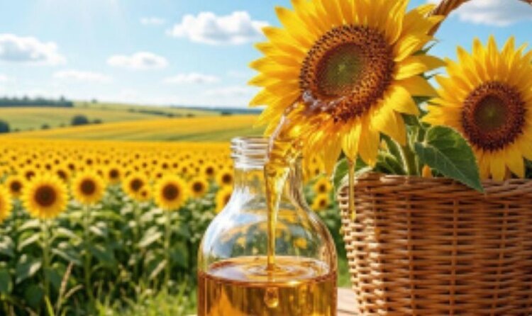 Динамика экспорта масложировой продукции Липецкой области впечатляет