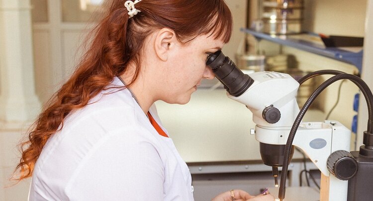 Только за неделю свыше 40 тонн импортных овощей с трипсами выявили специалисты ЦОК АПК в Забайкалье