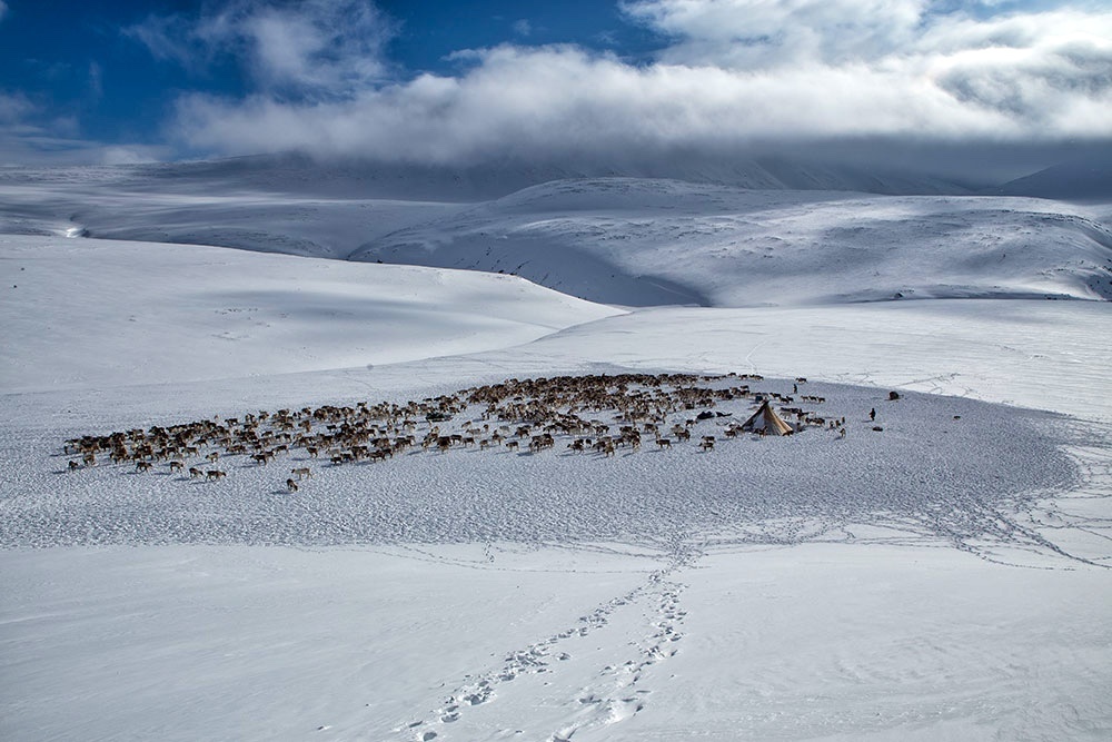 Фото: Сергей Карпухин / GeoPhoto