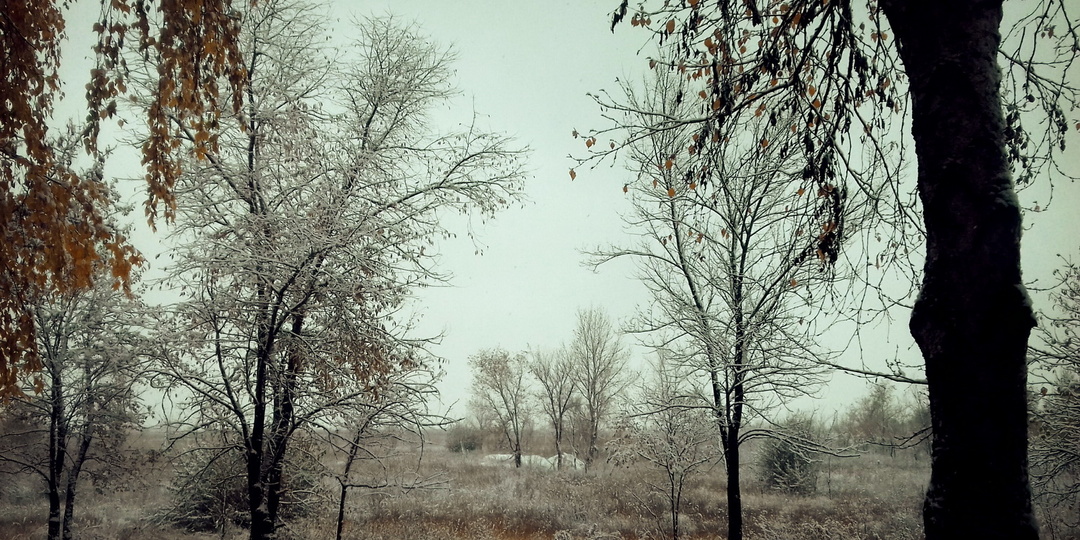 Температуры рухнут на 25 градусов даже летом: погода изменится и надолго