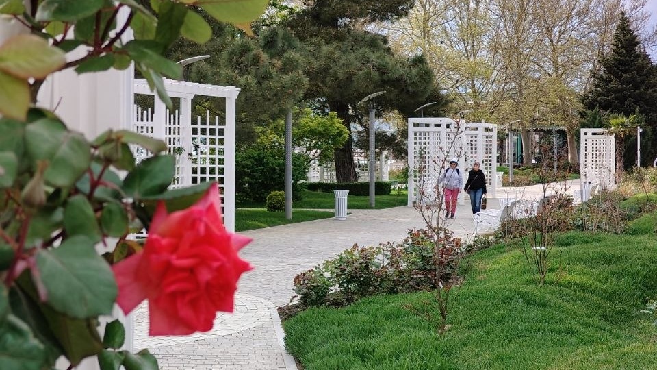 Холод что-то подзадержался в Геленджике