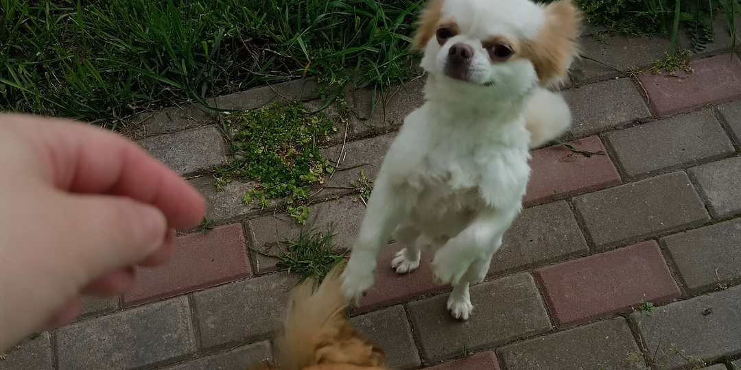 🌅 Пятница: утро, когда мир становится ярче!