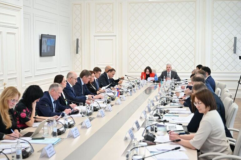 Парламентарии из стран СНГ поделились лучшим опытом в области местного самоуправления