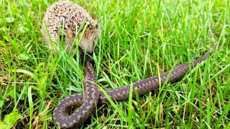 Источник: tvernews.ru