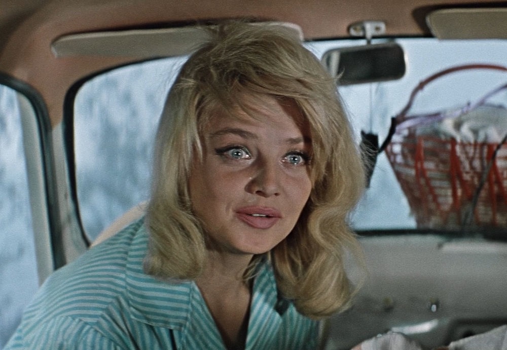 фото из открытого источника