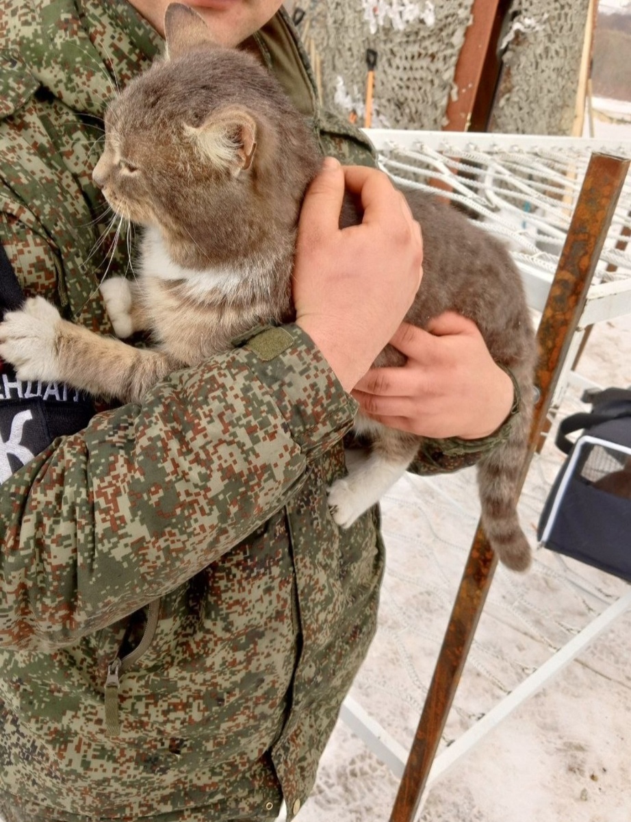 Витюша на передовой 