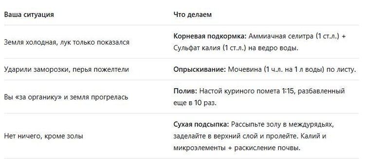     Чем подкормить озимый лук весной
