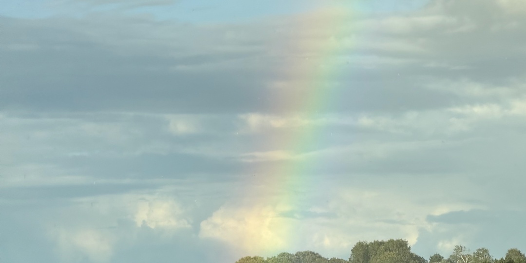 Найдутся лучше тебя, любая захочет просто сидеть дома и не работать