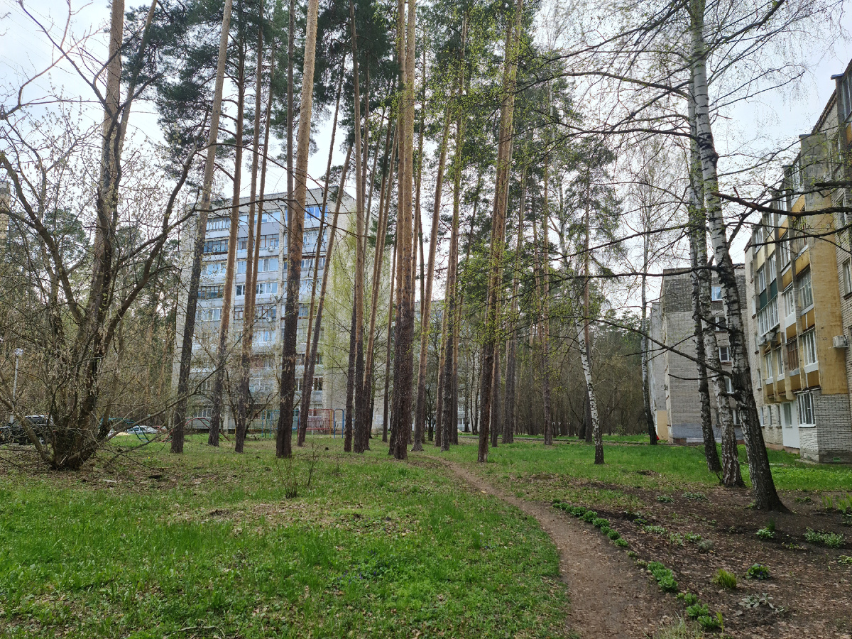 Деревья помогают делать природу еще красивее и отгоняют все зло, что натворили, они очищают и дают добро, они живые, они тоже слышат и понимают, словно в них деревянный бог живет много тысяч лет