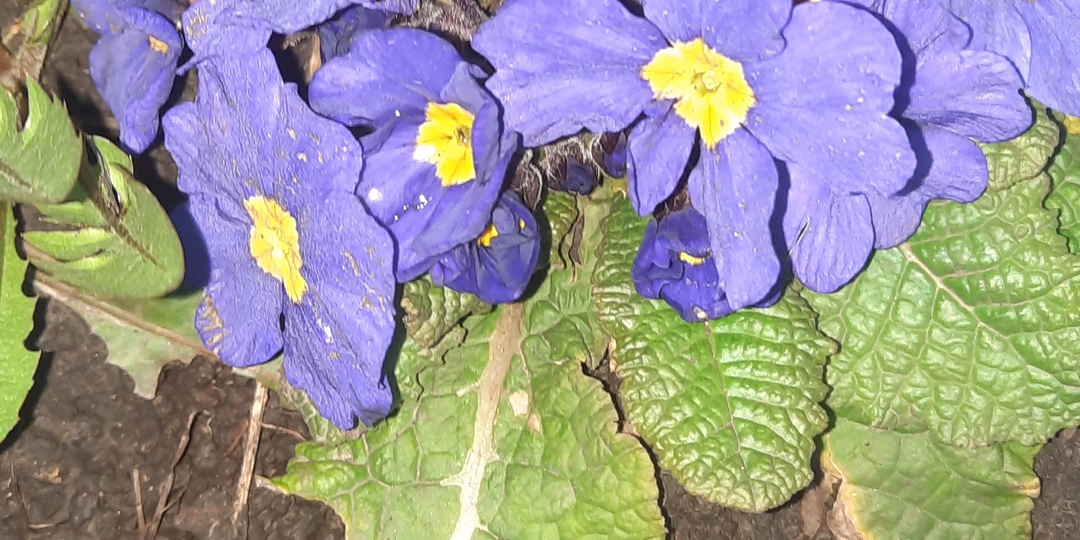 Я вам так дёрну 🤣