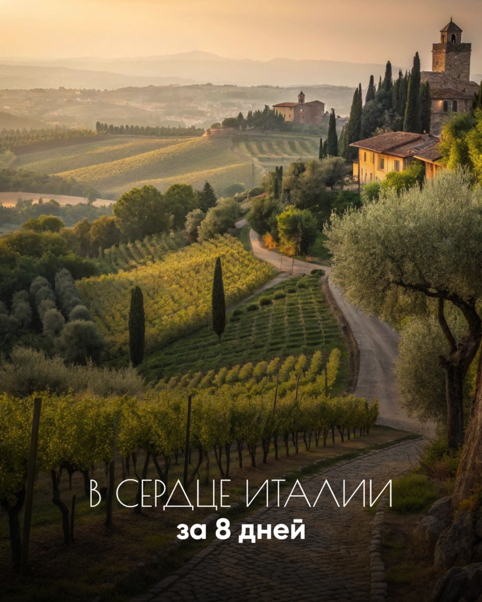 Mediolana Travel Company 