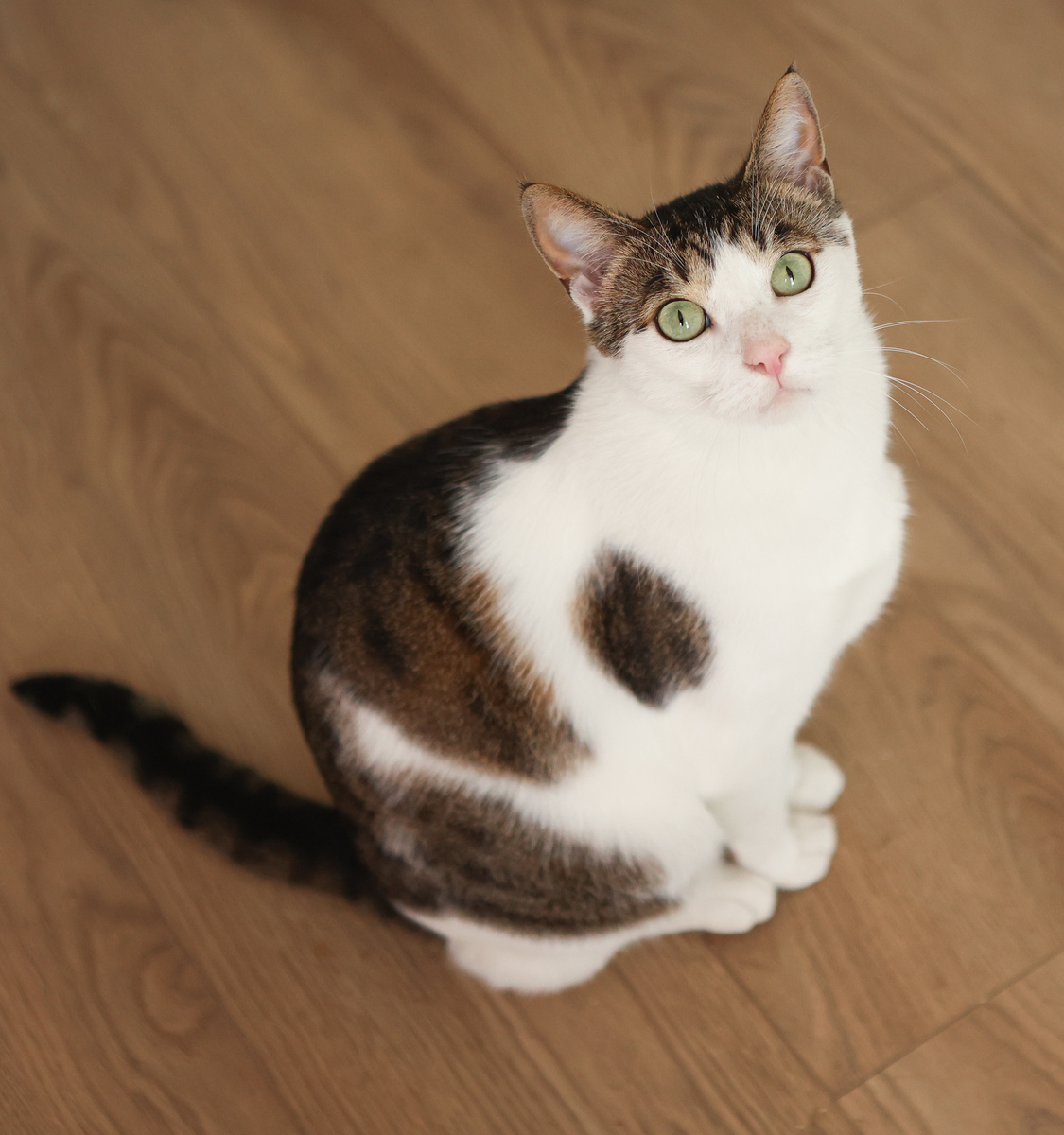 У меня, да, была. Можно ещё одну. Я ж красавчик!