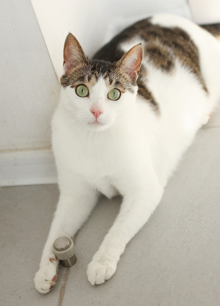 А смотри, какая у меня любимая игрушка! Только чо-та она не двигается! Но ничего, я и её подвигаю))