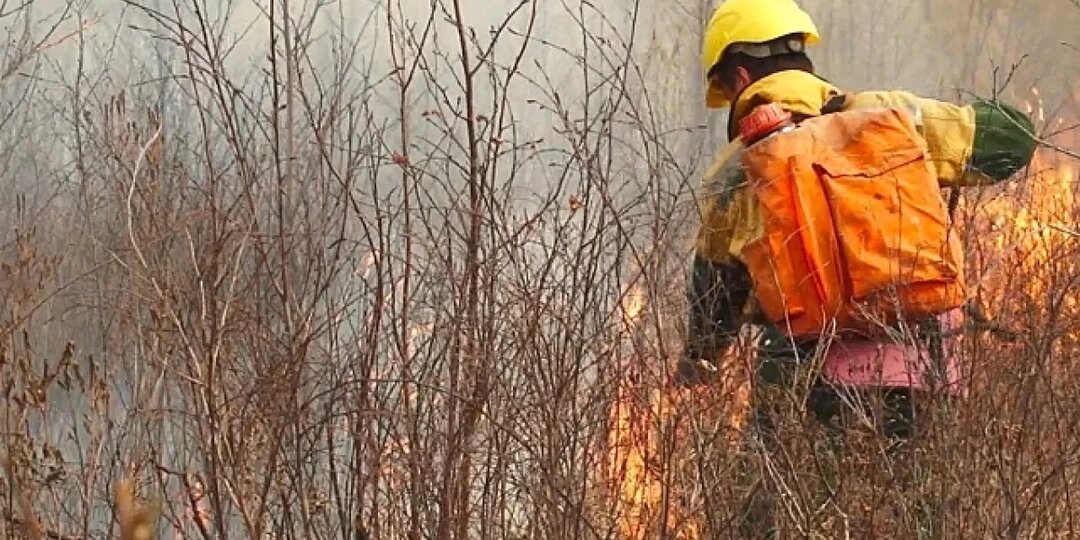 Мусорный полигон в Ленобласти окончательно потушили