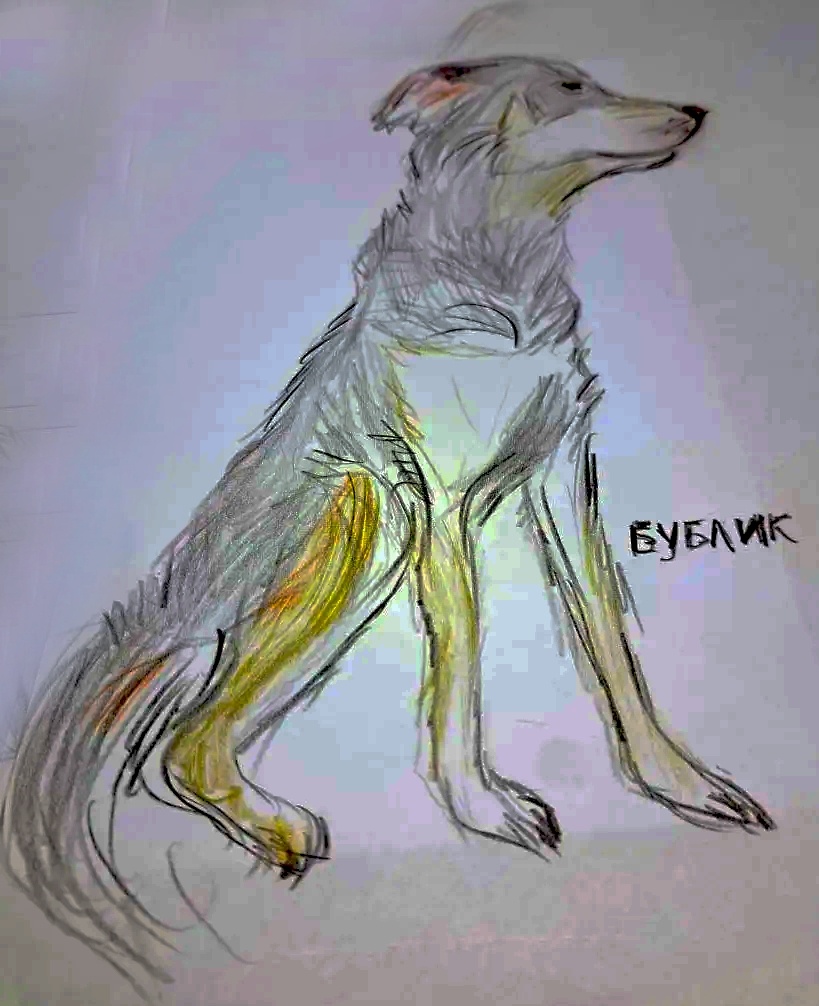 Такой портрет Бублика нарисовали учащиеся гимназии, написавшие этот рассказ