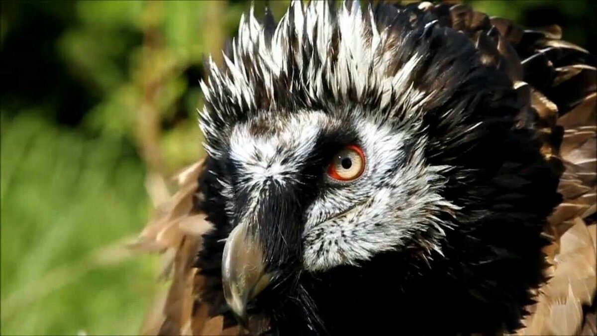 Источник: Pinterest