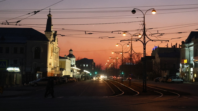 Такой день. Спиленные в Барнауле молоденькие сосны и мужчины, желающие уйти в декрет