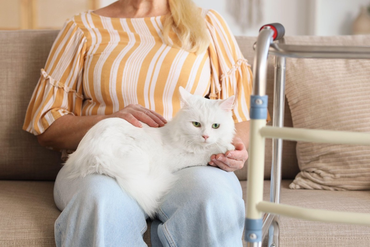    Печень у кошки выполняет обменную функцию и очищает организм от токсинов