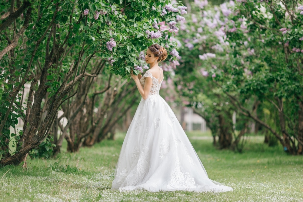 Яндекс. Картинки