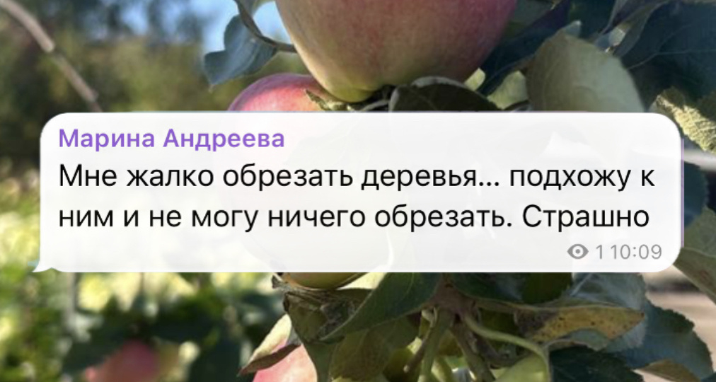 😱«Я боюсь обрезать деревья, мне жалко»