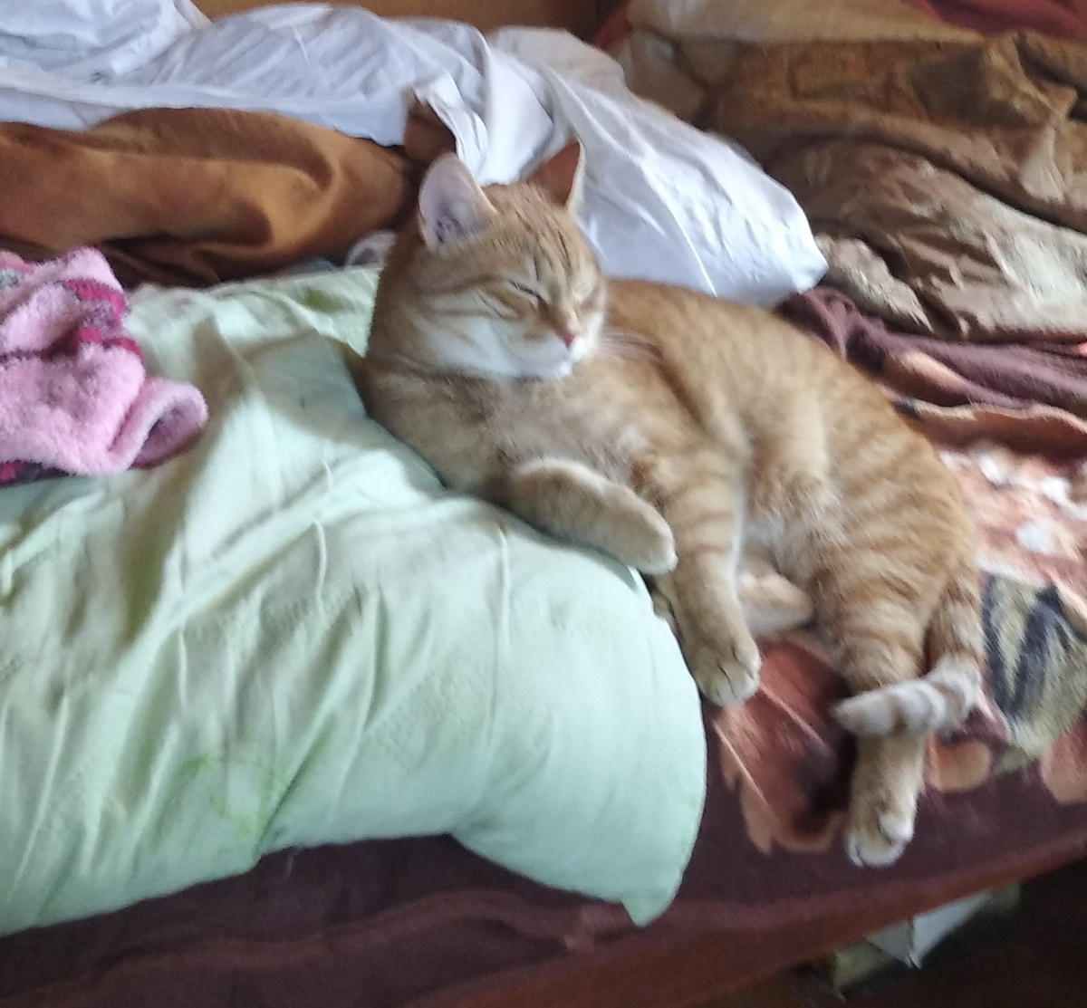 личное фото  