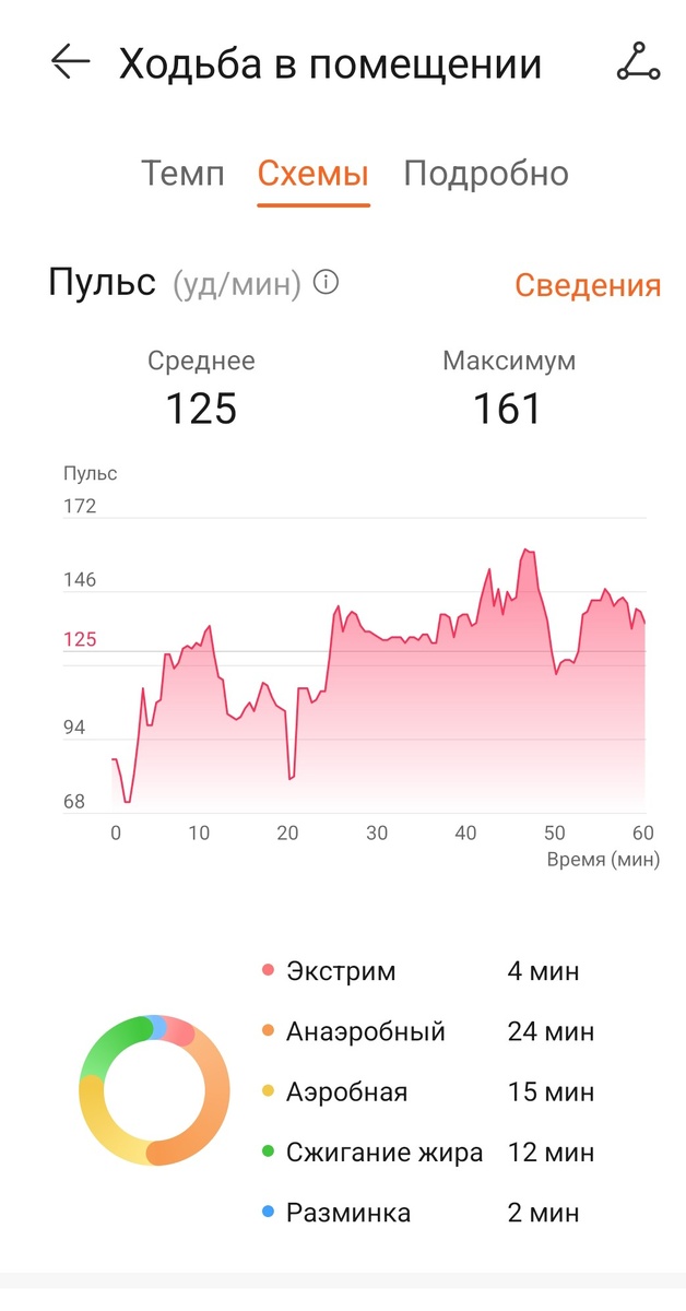 Бесплатный фитнес . Фото автора