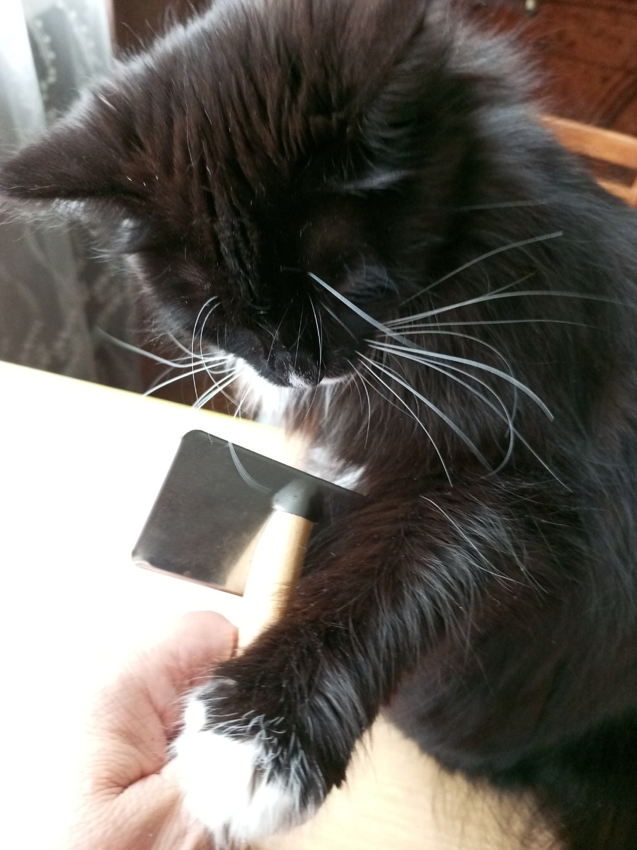 Вот уже начала отбивать мою руку 😊