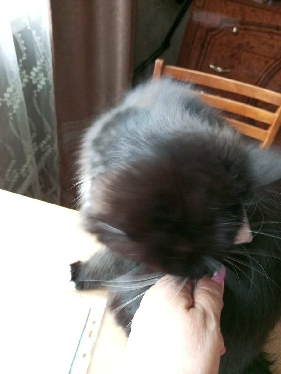 Хватает зубами