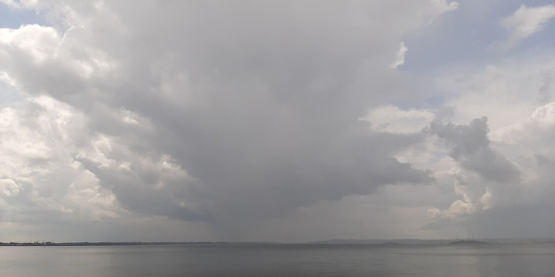 В Саратове за 20 млн продается часть волжского острова