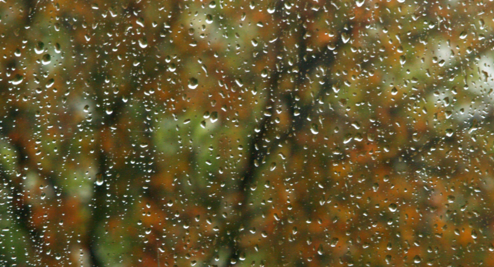 Гороскоп на 24 апреля 2026: для 3 знаков зодиака откроются новые возможности