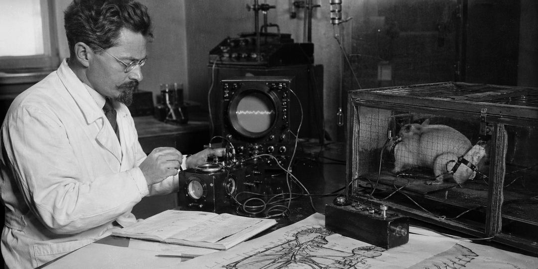 В СССР пытались понять, как мозг принимает решения: что показали закрытые эксперименты