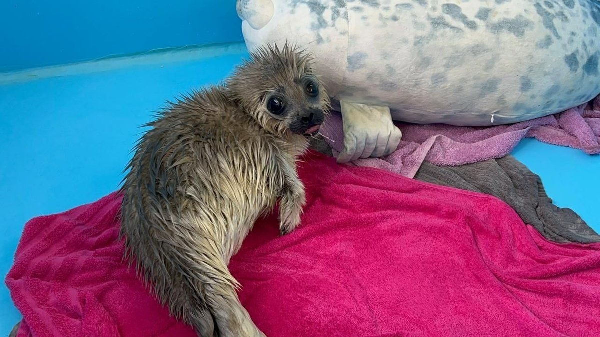 Фото: пресс-служба ГУП «Водоканал Санкт-Петербурга»