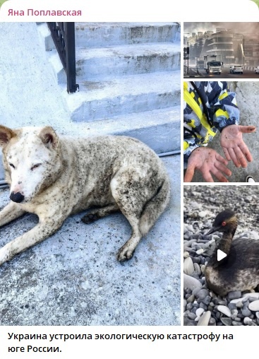    Фото: скриншот Telegram-канала Яны Поплавской