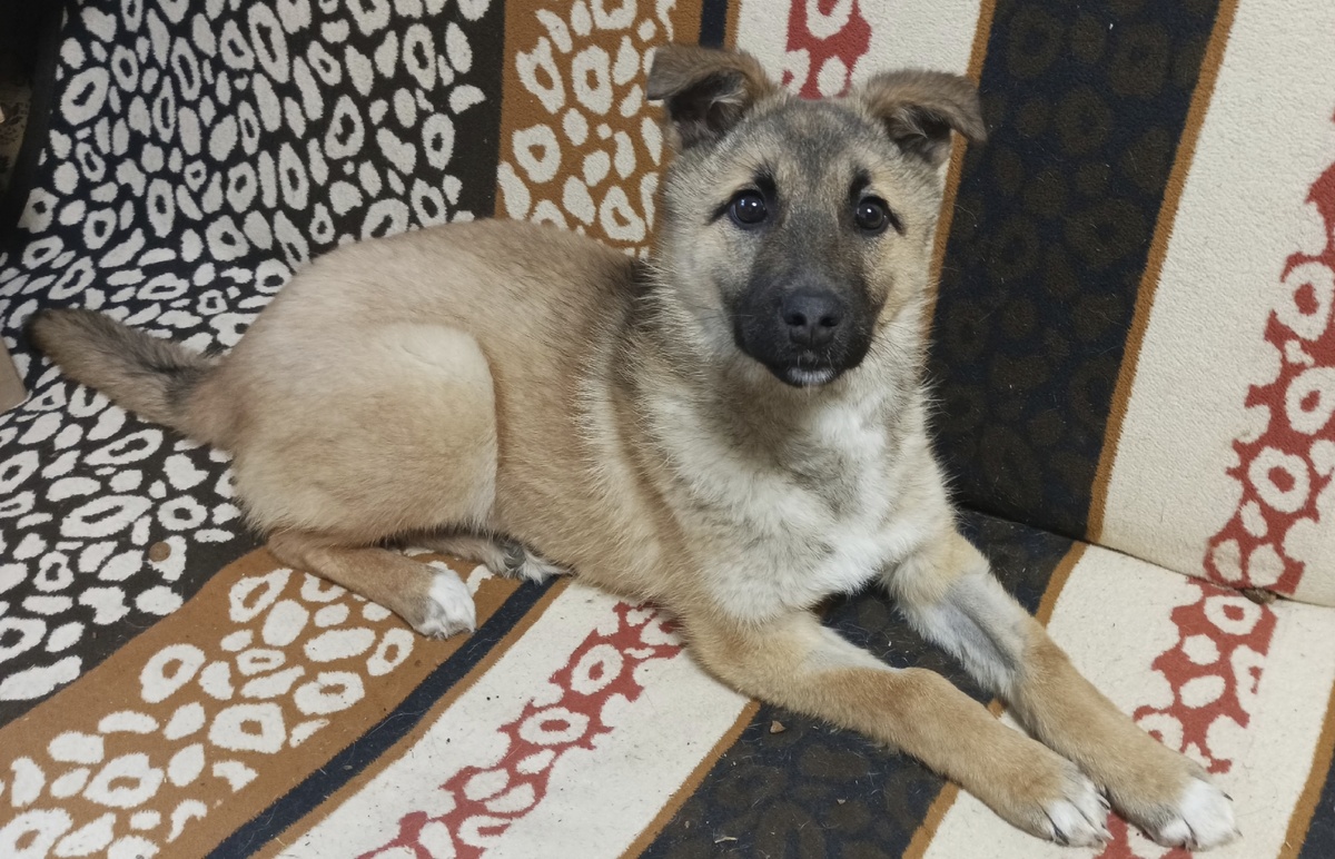 Как мы радовались первым успехам .