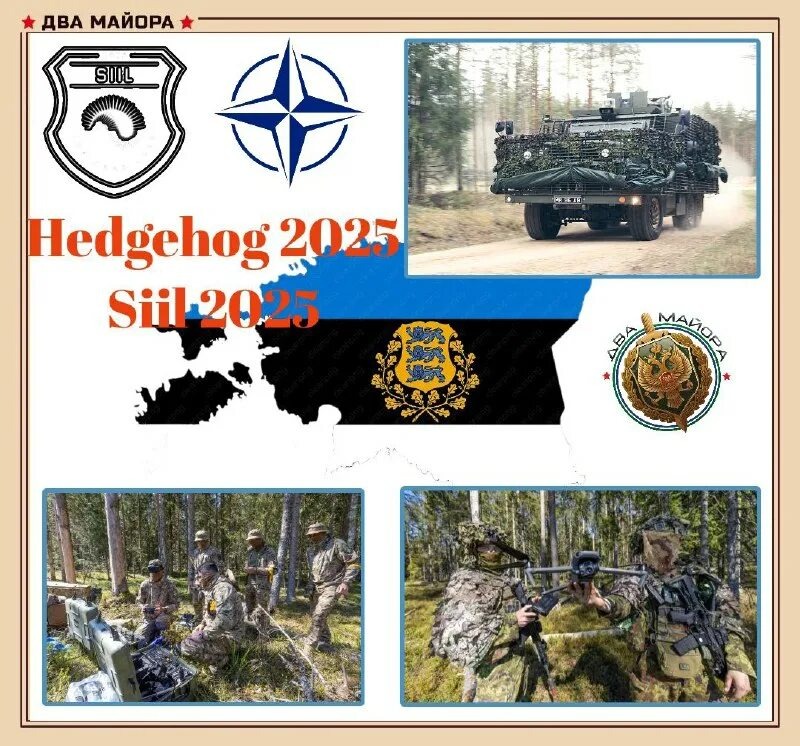 Рекламный буклет учений Hedgehog 2025. Изображение с Телеграмм-канала "Два майора".