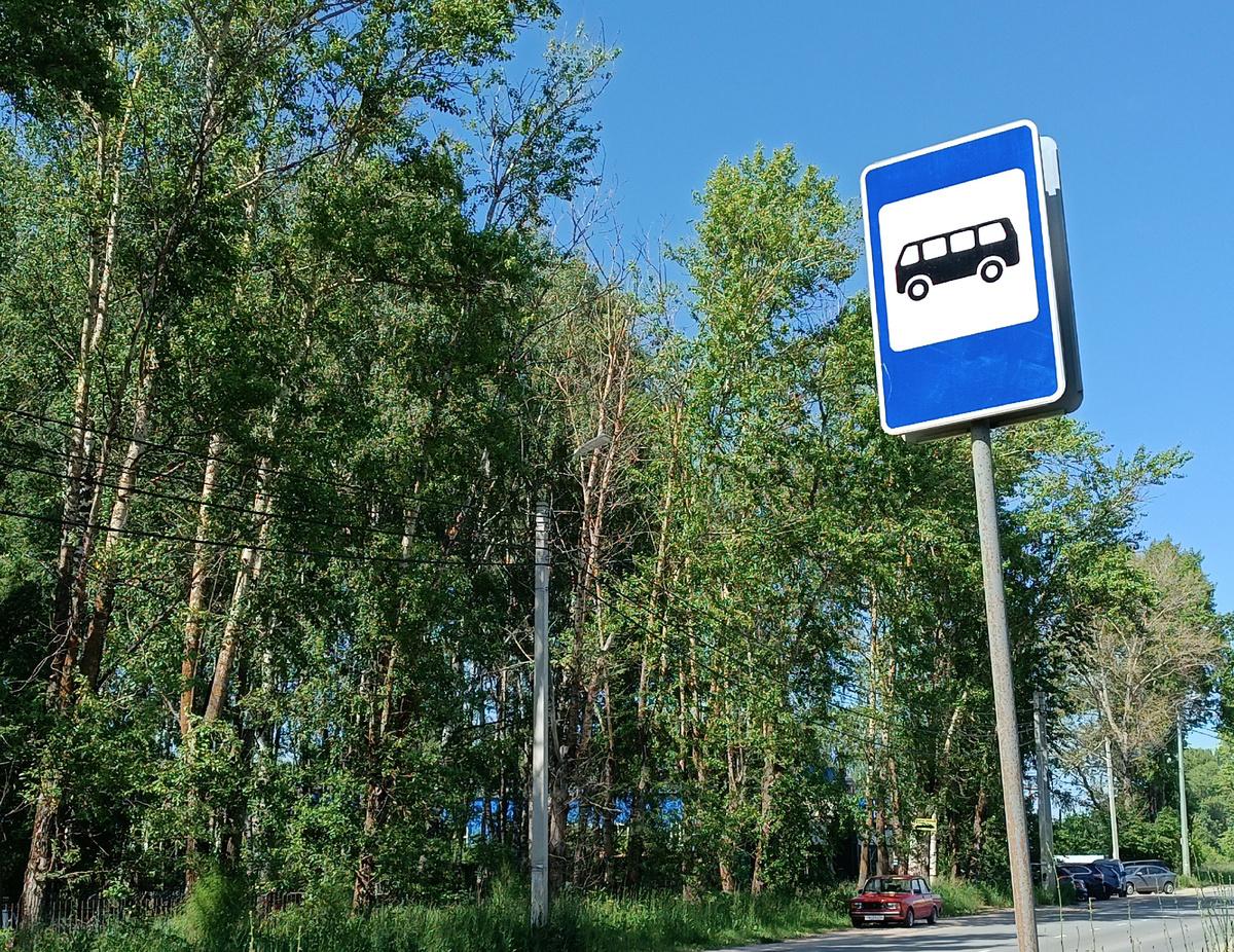 Фото газета «Северная правда»