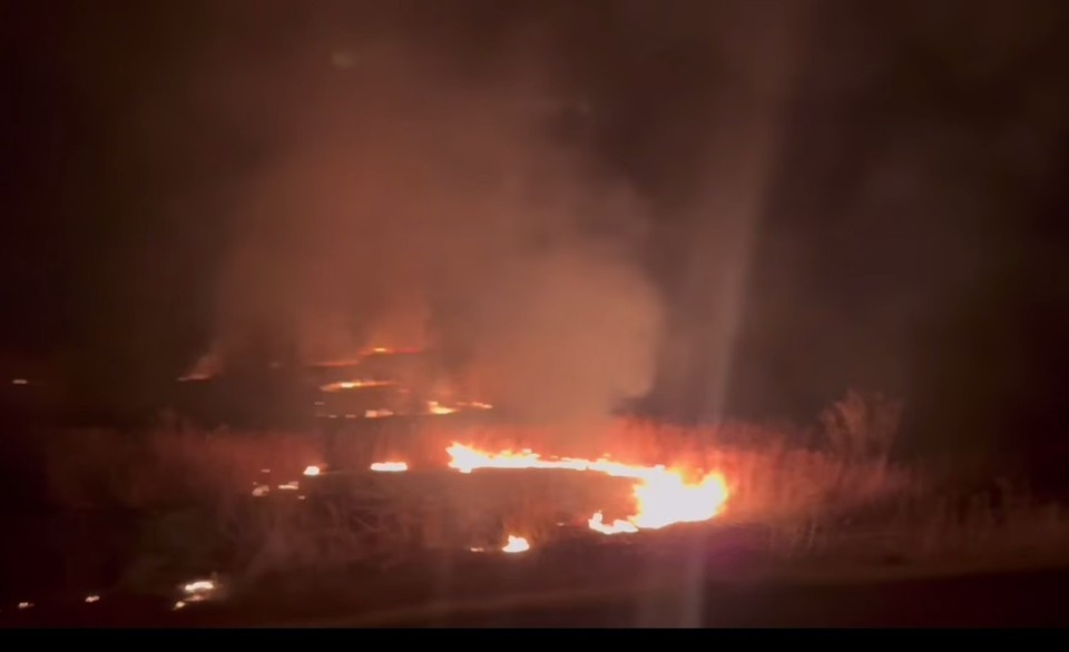    Фото: соцсети губернатора.