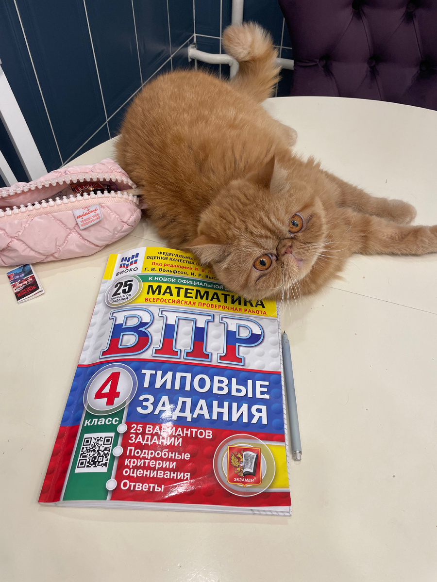 Инициативы чиновников буквально валят с лап даже самых стойких:)