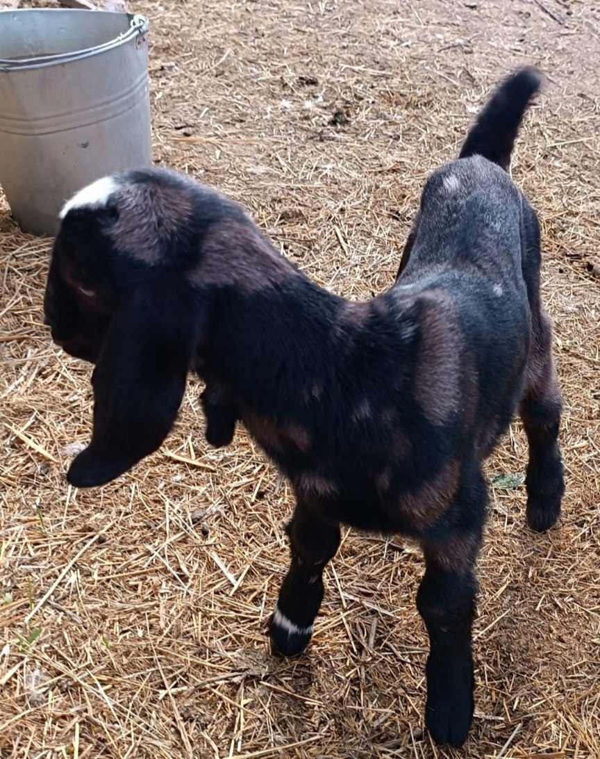 Впервые во дворе