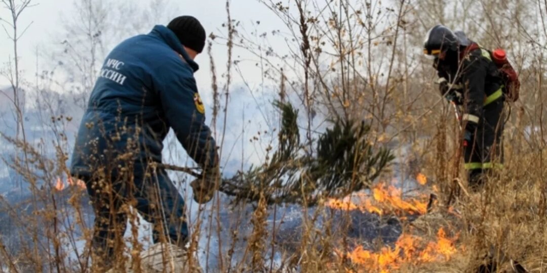 Пожароопасный сезон в лесах Нижегородской области начнется 24 апреля