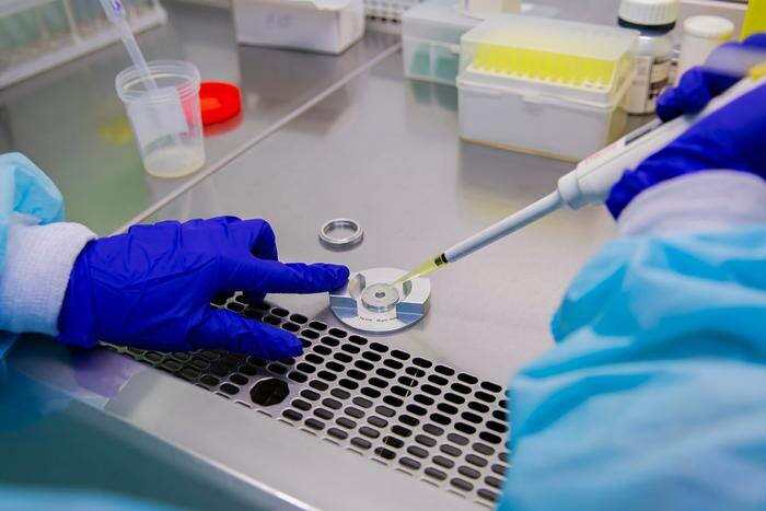 Обложка © Shutterstock / FOTODOM / sejianni