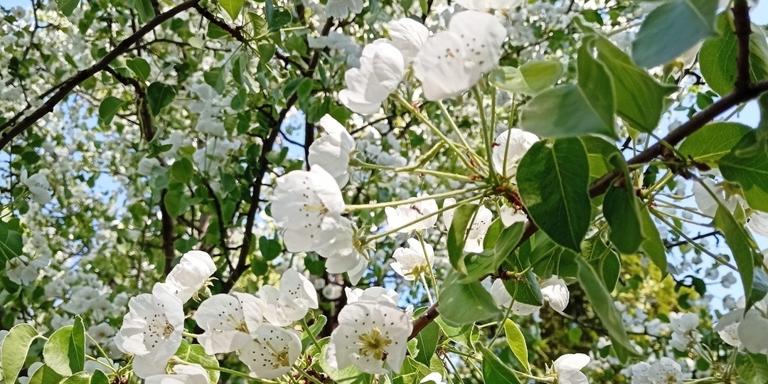 Сила магнитной бури 24 апреля составит 3 балла: хорошее время для продолжения начатых дел