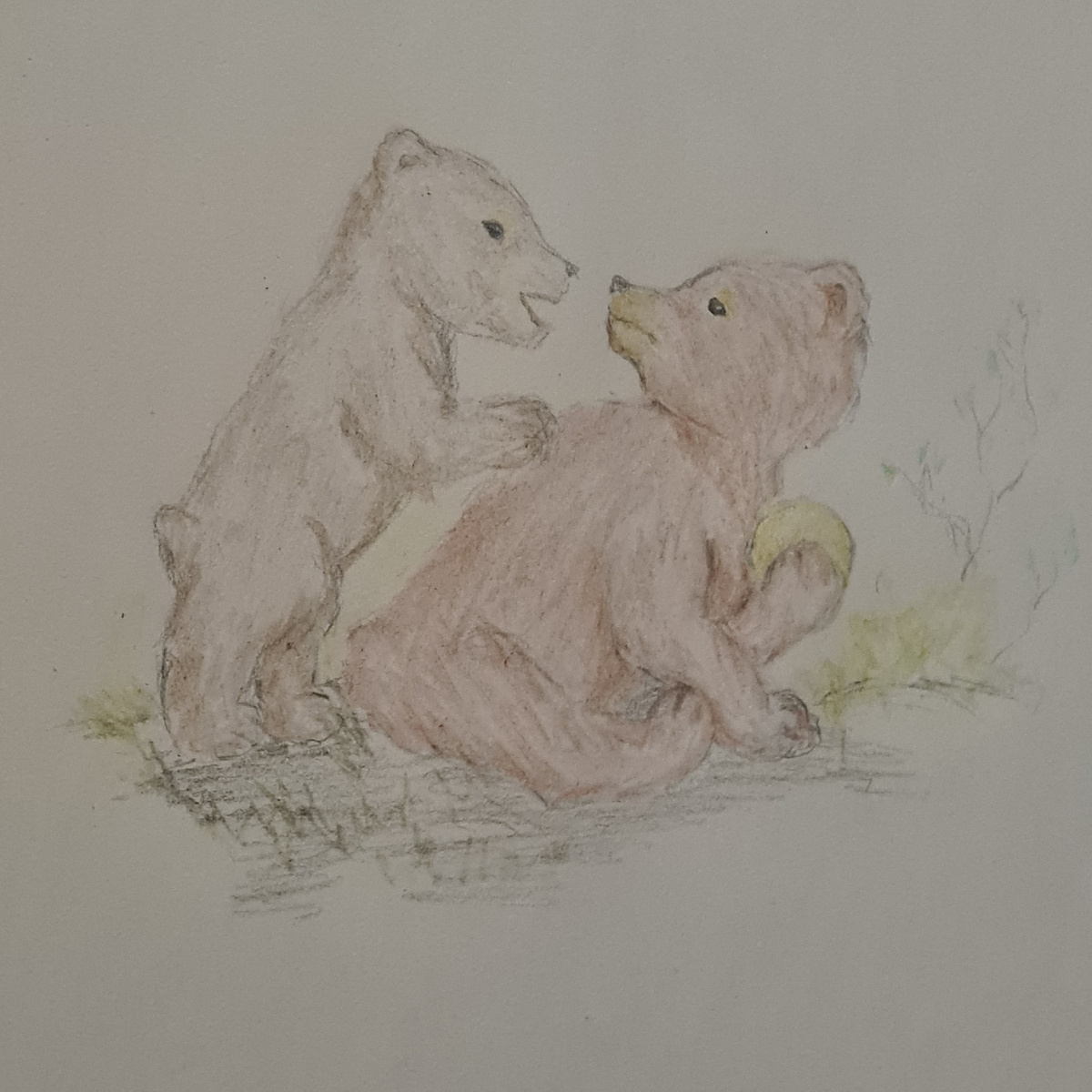 Два медвежонка