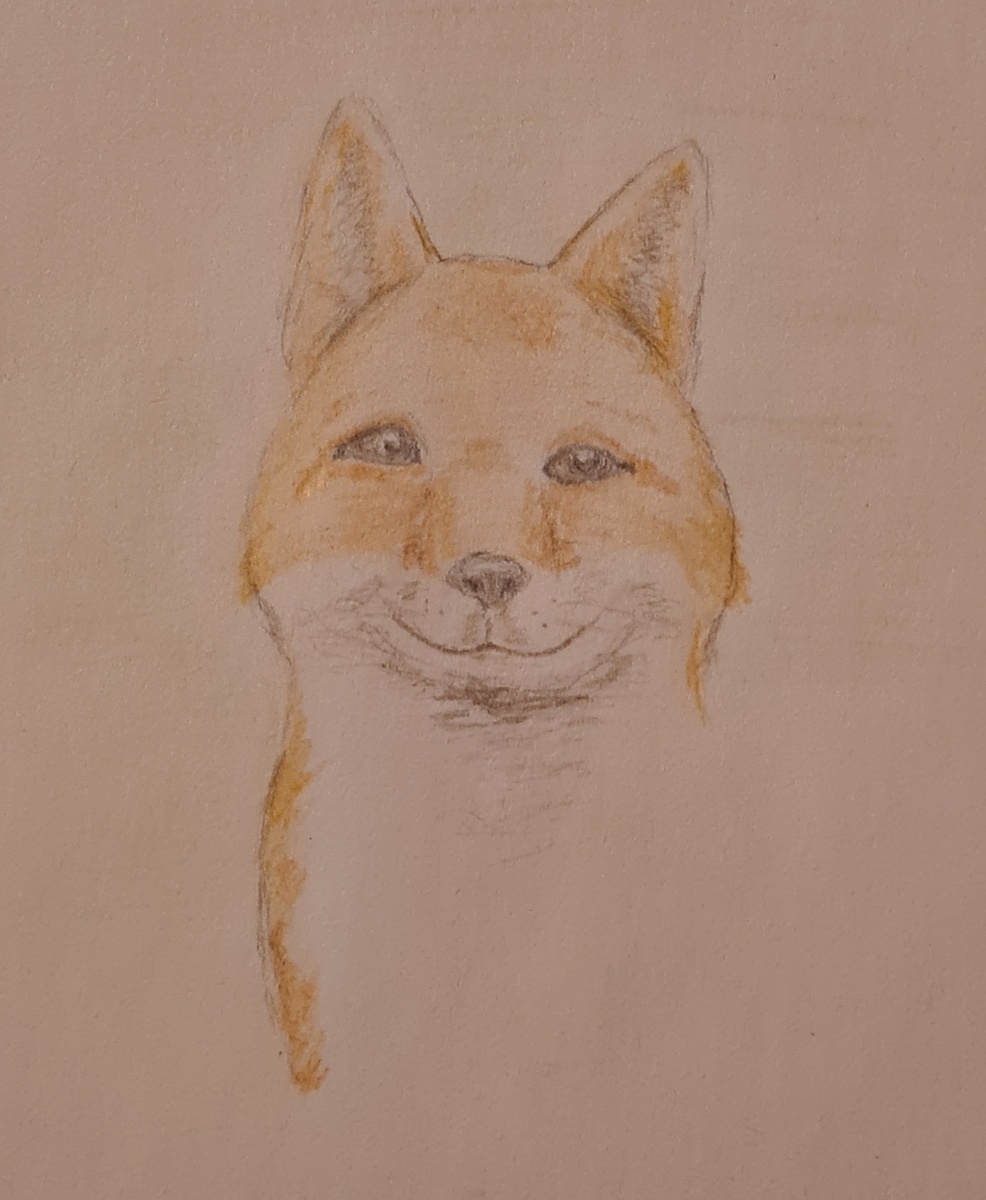 Сытая и довольная лиса