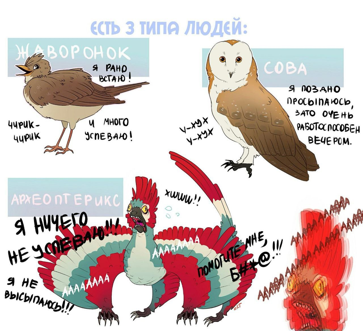 Где-то, когда-то видел, кто автор - не нашёл, яндекс молчит, и автора этого прекрасного изображения не сдаёт. Если знаете - напишите в комментариях.