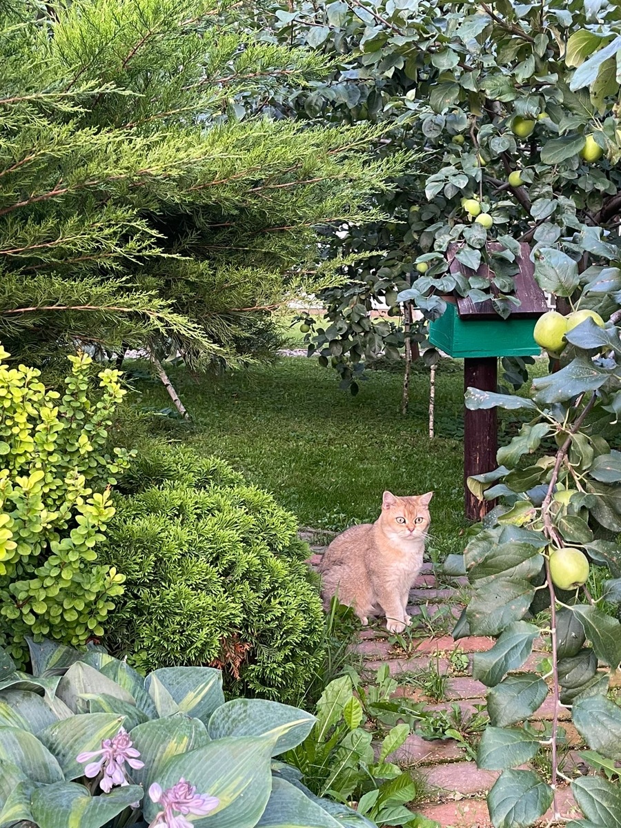 Уже хочется тепла солнца и хорошей погоды, хотя у природы нет плохой погоды 😊