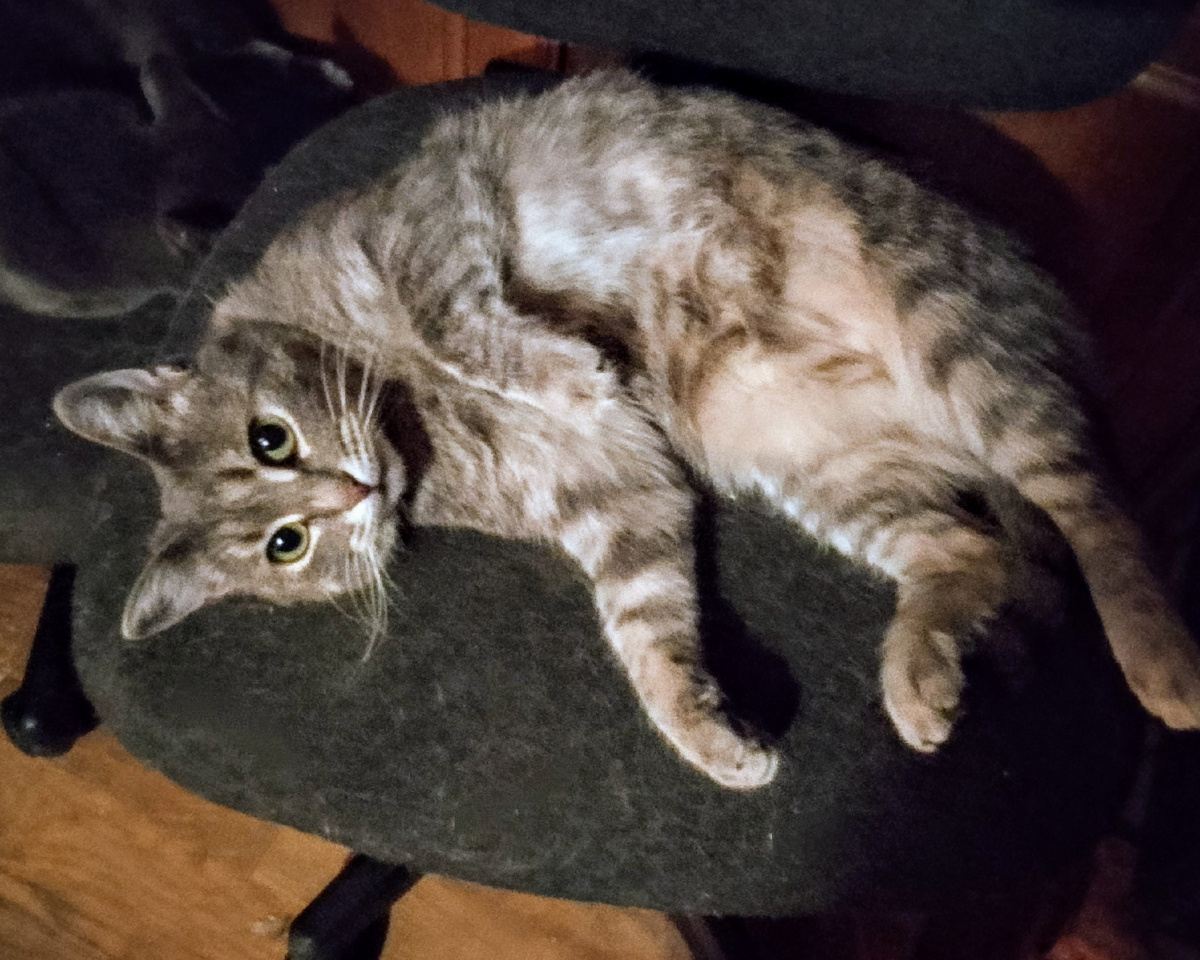 Милана